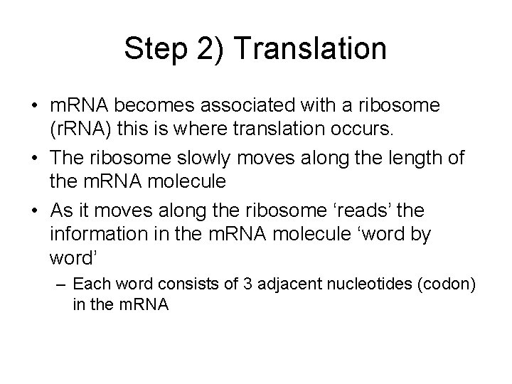 Step 2) Translation • m. RNA becomes associated with a ribosome (r. RNA) this