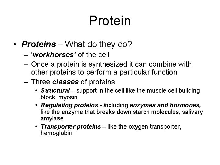 Protein • Proteins – What do they do? – ‘workhorses’ of the cell –