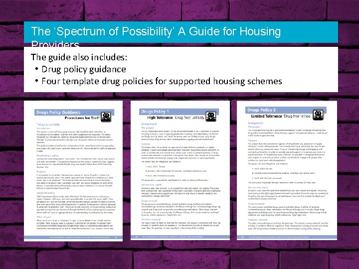 The ‘Spectrum of Possibility’ A Guide for Housing Providers The guide also includes: •