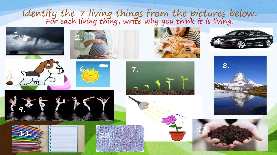 Identify the 7 living things from the pictures below. 1. 5. For each living