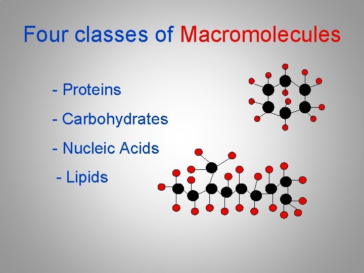 Four classes of Macromolecules - Proteins - Carbohydrates - Nucleic Acids - Lipids 