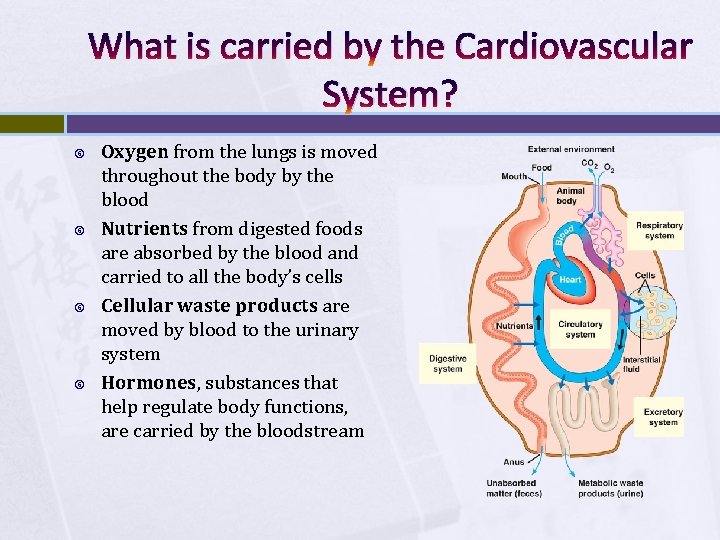 What is carried by the Cardiovascular System? Oxygen from the lungs is moved throughout