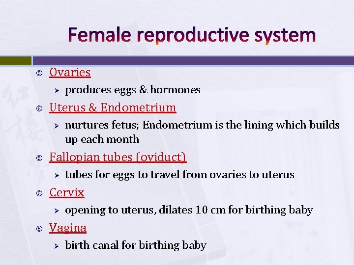 Female reproductive system Ovaries Ø Uterus & Endometrium Ø tubes for eggs to travel