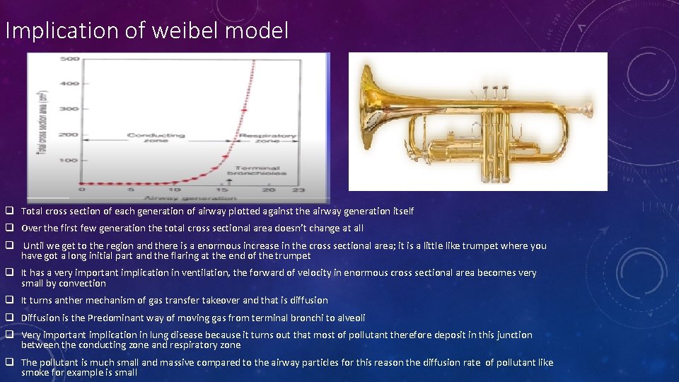 Implication of weibel model q Total cross section of each generation of airway plotted