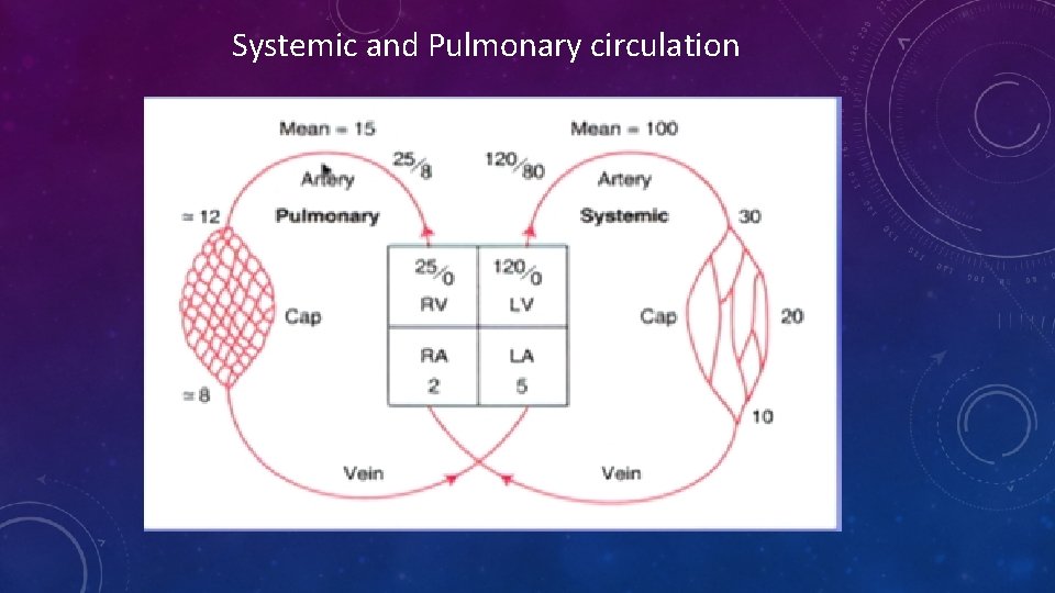 Systemic and Pulmonary circulation 