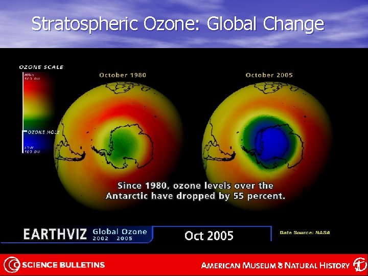 Stratospheric Ozone: Global Change 