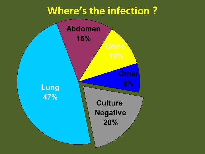 Where’s the infection ? 