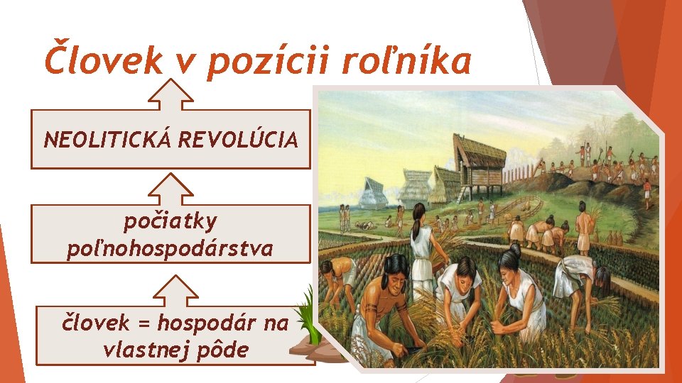 Človek v pozícii roľníka NEOLITICKÁ REVOLÚCIA počiatky poľnohospodárstva človek = hospodár na vlastnej pôde