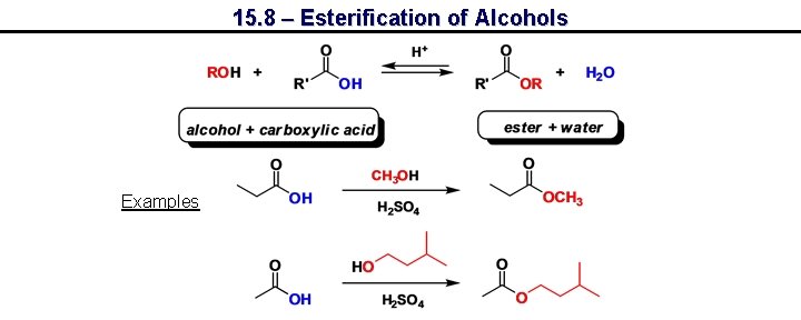 15. 8 – Esterification of Alcohols Examples 