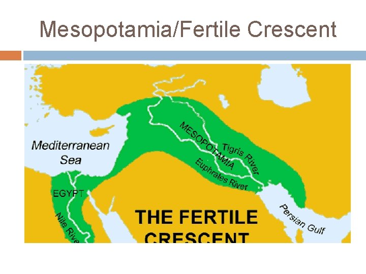 Mesopotamia/Fertile Crescent 