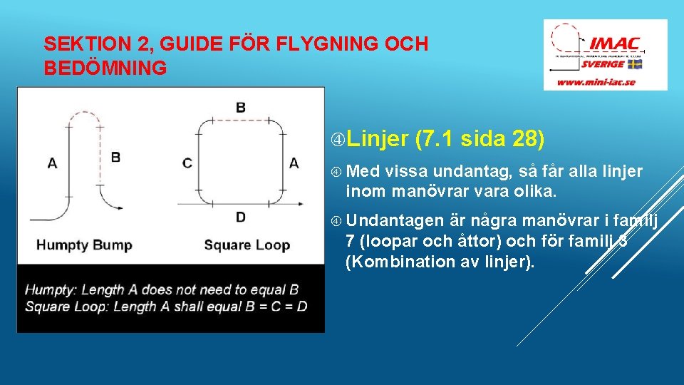 SEKTION 2, GUIDE FÖR FLYGNING OCH BEDÖMNING Linjer (7. 1 sida 28) Med vissa