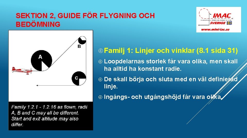 SEKTION 2, GUIDE FÖR FLYGNING OCH BEDÖMNING Familj 1: Linjer och vinklar (8. 1