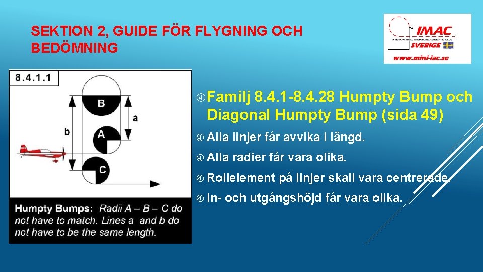 SEKTION 2, GUIDE FÖR FLYGNING OCH BEDÖMNING Familj 8. 4. 1 -8. 4. 28