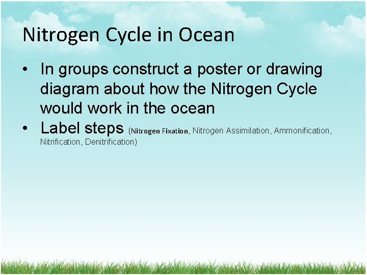 Nitrogen Cycle in Ocean • In groups construct a poster or drawing diagram about
