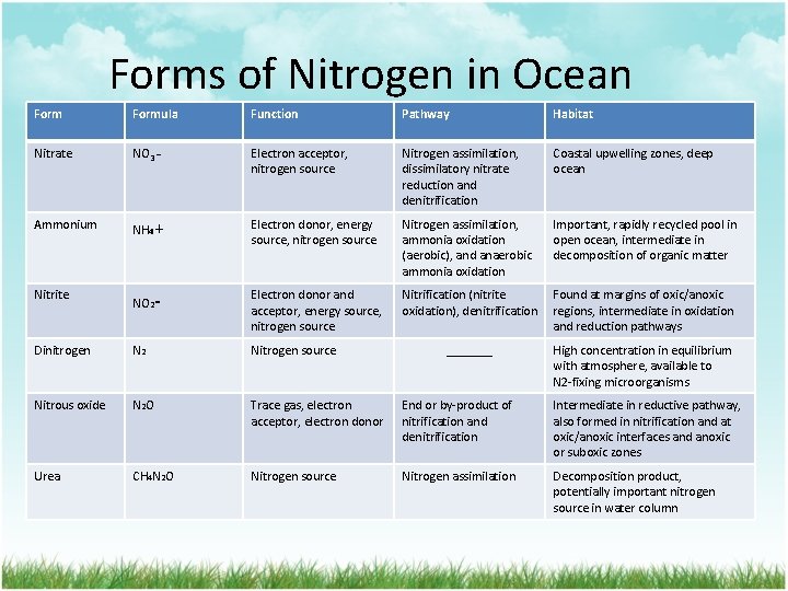 Forms of Nitrogen in Ocean Formula Function Pathway Habitat Nitrate NO 3 _ Electron