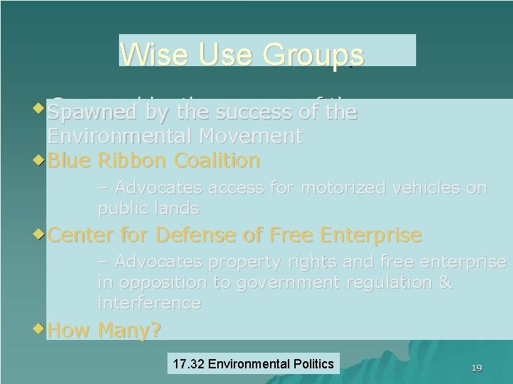 Wise Use Groups Spawned by the success of the Environmental Movement Blue Ribbon Coalition