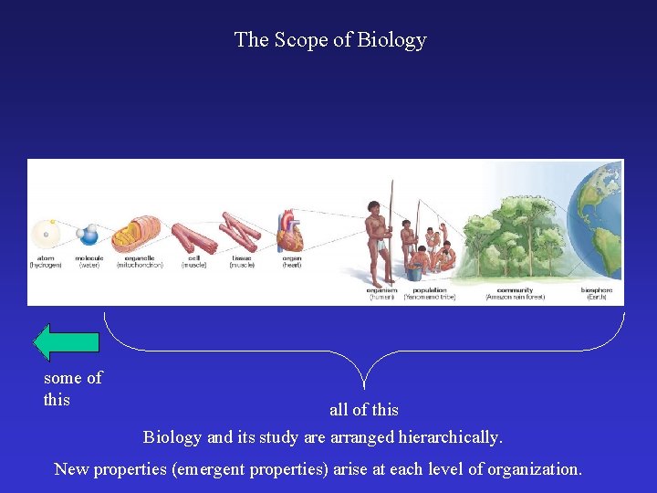 The Scope of Biology some of this all of this Biology and its study