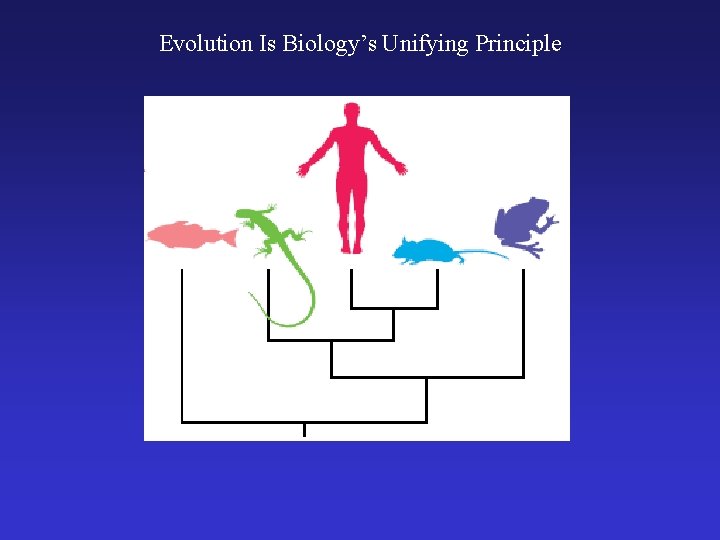 Evolution Is Biology’s Unifying Principle 