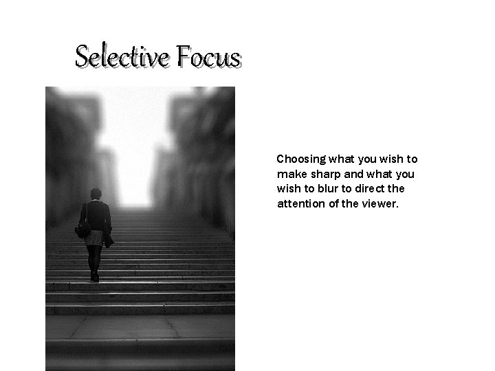 Selective Focus Choosing what you wish to make sharp and what you wish to