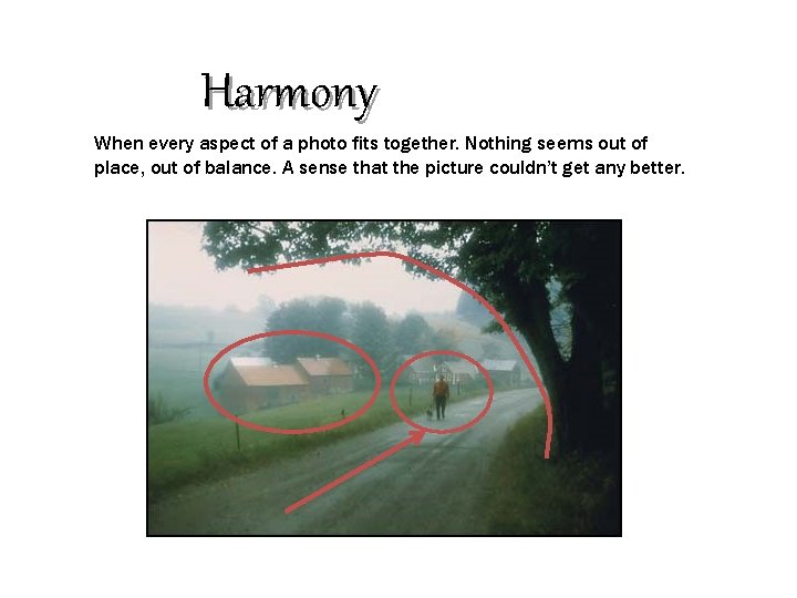 Harmony When every aspect of a photo fits together. Nothing seems out of place,