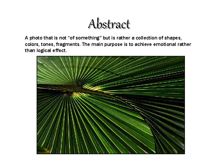 Abstract A photo that is not “of something” but is rather a collection of
