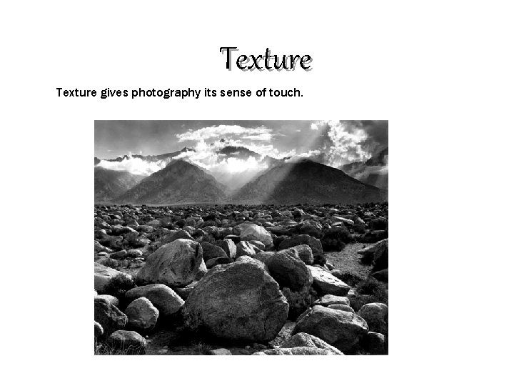 Texture gives photography its sense of touch. 