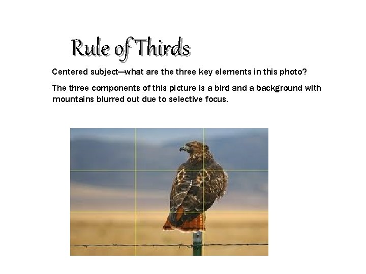 Rule of Thirds Centered subject—what are three key elements in this photo? The three