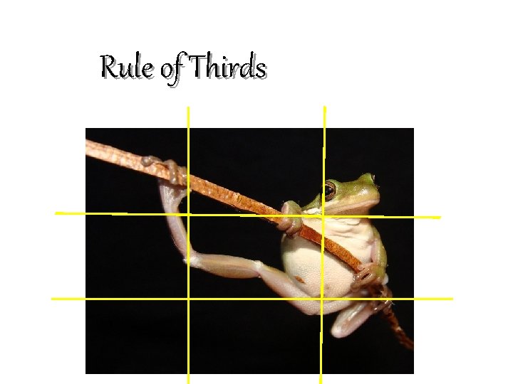 Rule of Thirds 