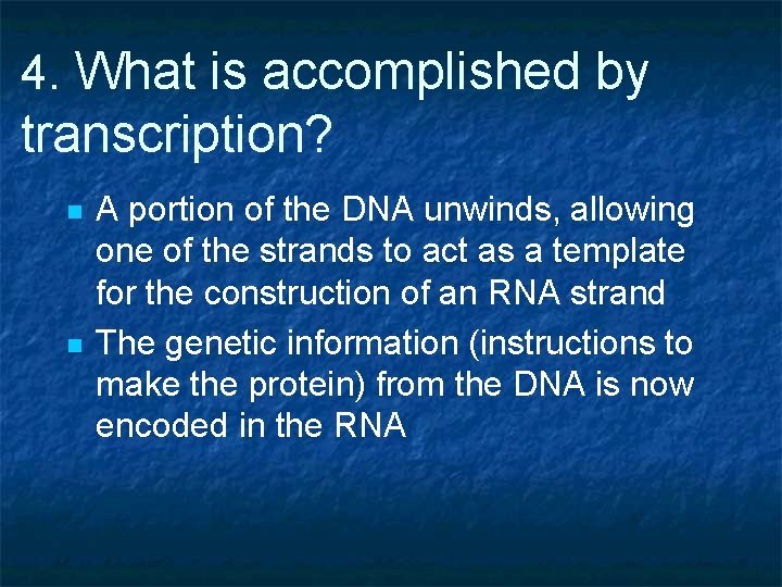 4. What is accomplished by transcription? n n A portion of the DNA unwinds,