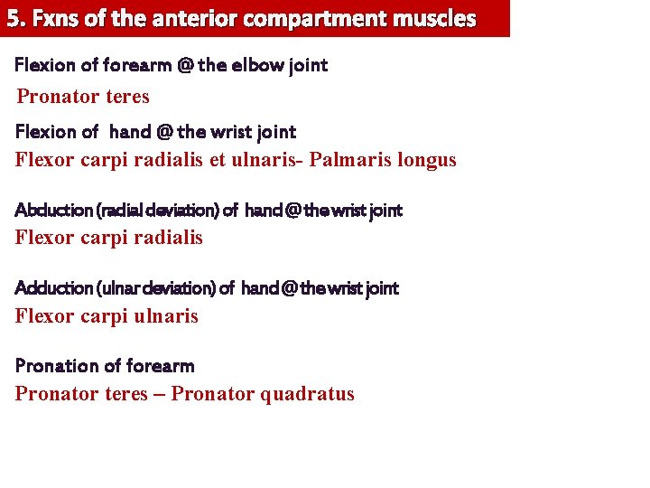 5. Fxns of the anterior compartment muscles Flexion of forearm @ the elbow joint