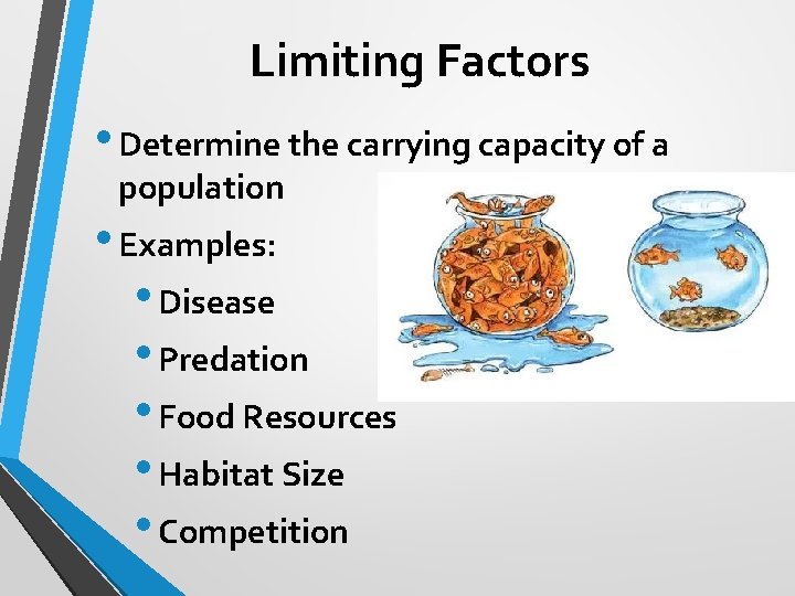 Limiting Factors • Determine the carrying capacity of a population • Examples: • Disease
