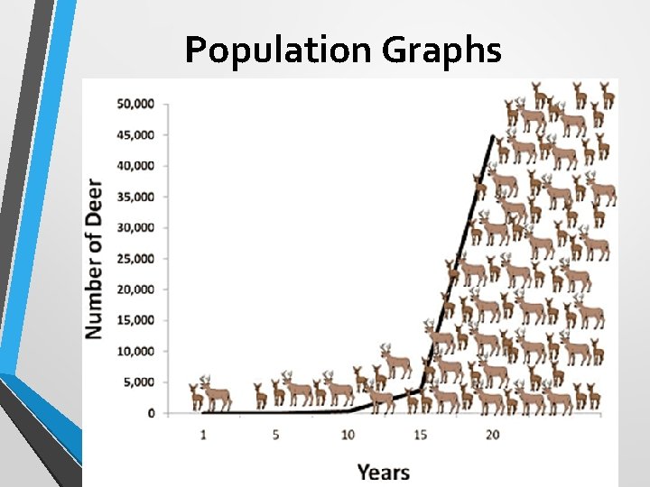 Population Graphs 