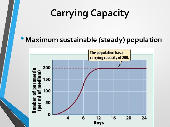 Carrying Capacity • Maximum sustainable (steady) population 