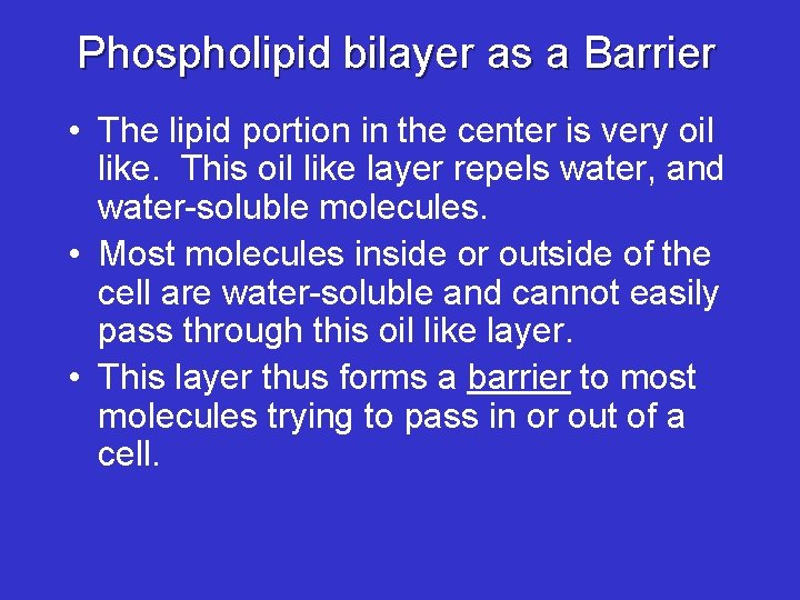 Phospholipid bilayer as a Barrier • The lipid portion in the center is very