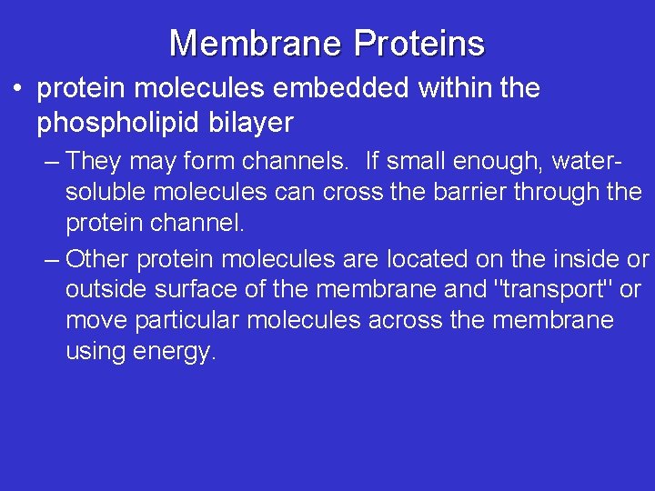 Membrane Proteins • protein molecules embedded within the phospholipid bilayer – They may form