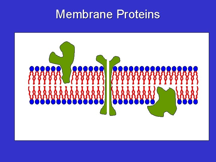 Membrane Proteins 