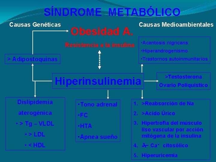 SÍNDROME METABÓLICO Causas Genéticas Causas Medioambientales Obesidad A. Resistencia a la insulina > Adipostoquinas