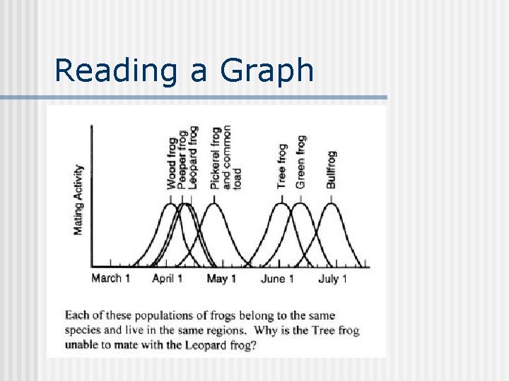 Reading a Graph 