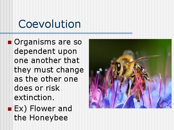Coevolution Organisms are so dependent upon one another that they must change as the