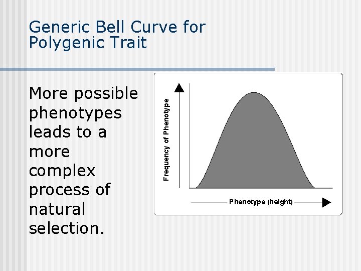 More possible phenotypes leads to a more complex process of natural selection. Frequency of