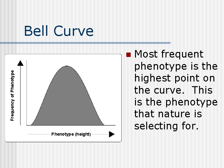 Bell Curve Frequency of Phenotype n Phenotype (height) Most frequent phenotype is the highest
