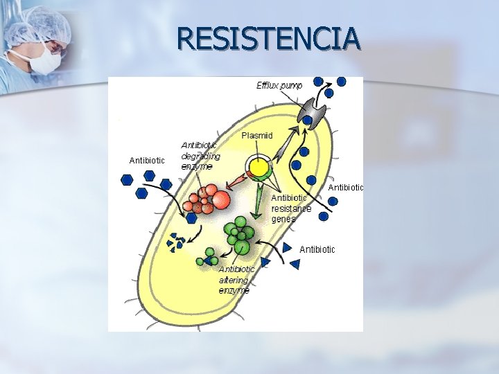 RESISTENCIA 