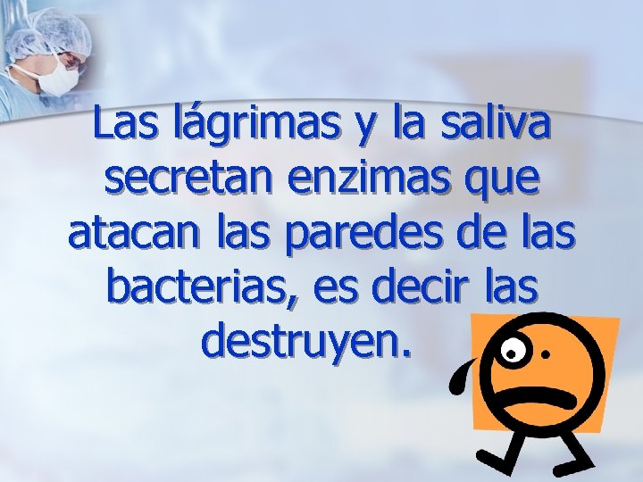 Las lágrimas y la saliva secretan enzimas que atacan las paredes de las bacterias,