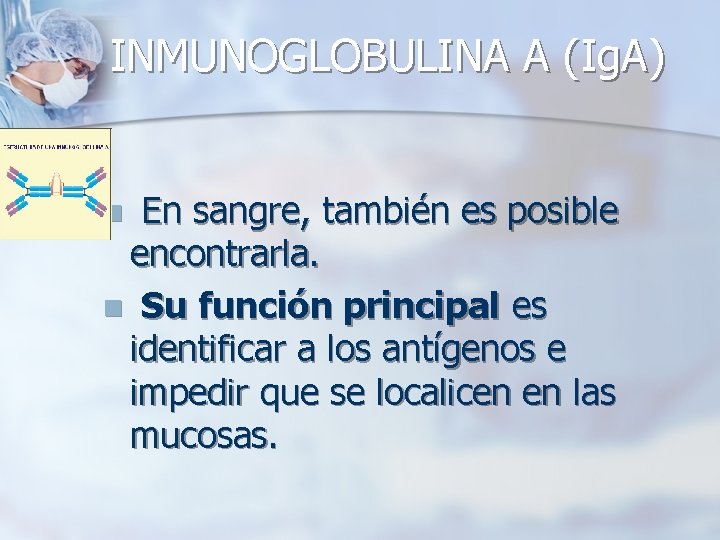 INMUNOGLOBULINA A (Ig. A) En sangre, también es posible encontrarla. n Su función principal