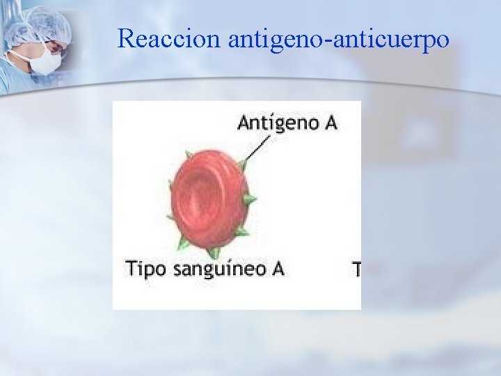 Reaccion antigeno-anticuerpo 