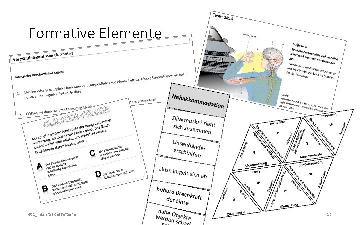 Formative Elemente 401_informationssysteme ZPG Biologie 2016 13 