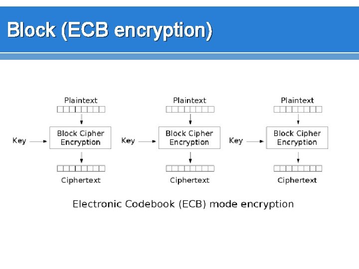 Block (ECB encryption) 