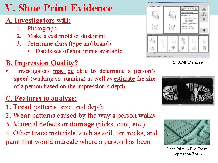 V. Shoe Print Evidence A. Investigators will: 1. Photograph 2. Make a cast mold