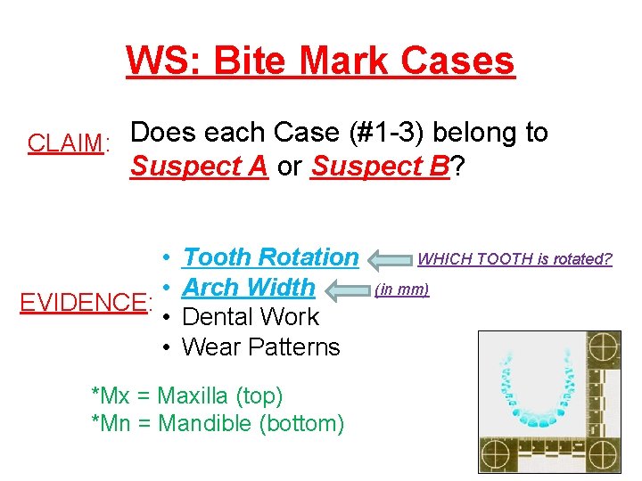 WS: Bite Mark Cases CLAIM: Does each Case (#1 -3) belong to Suspect A