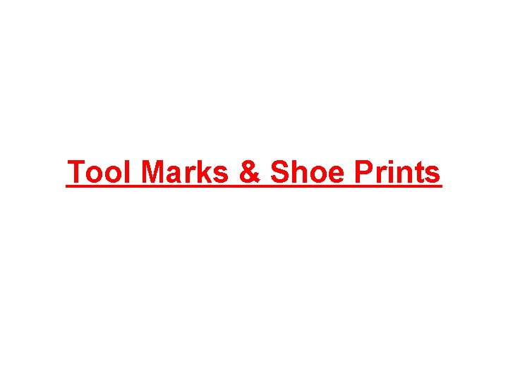 Tool Marks & Shoe Prints 